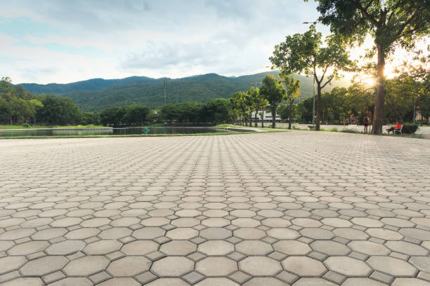 Best Custom Driveway Pavers  in Springdale, NC
